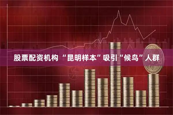 股票配资机构 “昆明样本”吸引“候鸟”人群